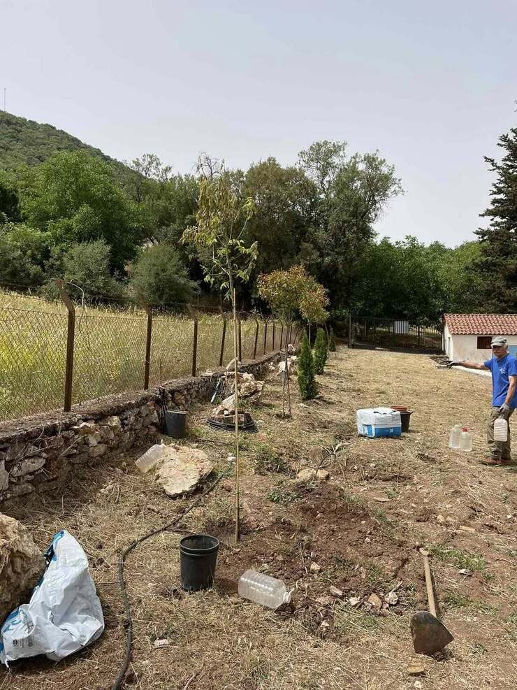 ΑΚΟΜΑ ΜΙΑ ΔΕΝΔΡΟΦΥΤΕΥΣΗ ΑΠΟ ΤΟΝ ΣΥΛΛΟΓΟ ΜΑΣ